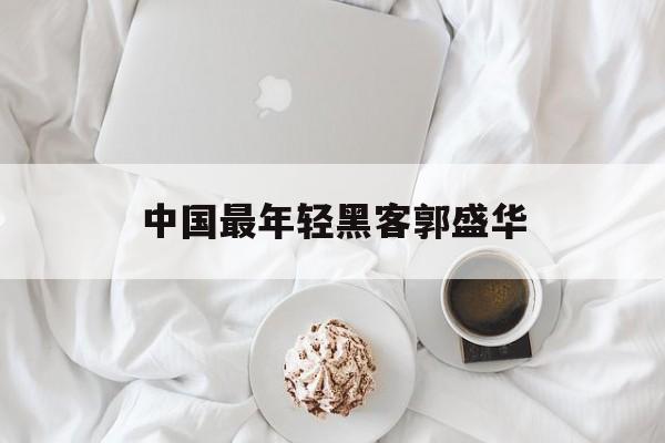 中国最年轻黑客郭盛华(中国黑客第一人郭盛华是哪里人)