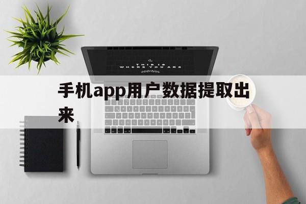 手机app用户数据提取出来(app能收集哪些用户数据)