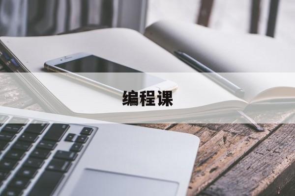 编程课(编程课程)