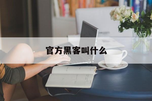 官方黑客叫什么(黑客为什么叫黑客)