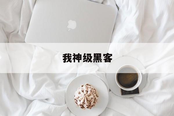 我神级黑客(都市最强黑客 分享作者 神级黑客)