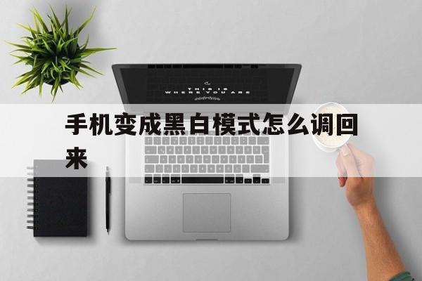 手机变成黑白模式怎么调回来(手机变成了黑白模式怎样才能变回来)