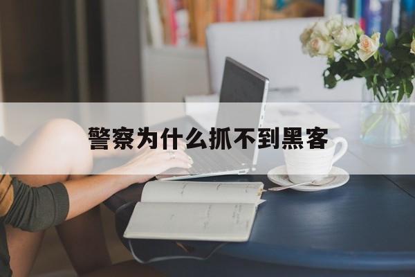警察为什么抓不到黑客(警察抓黑客吗)