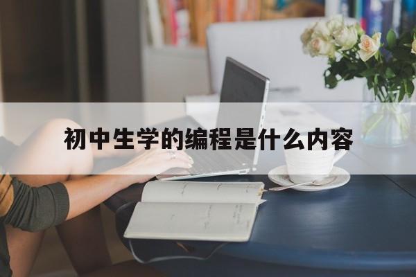 初中生学的编程是什么内容(初中生学什么编程语言)