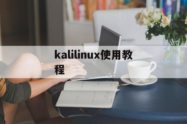 kalilinux使用教程(kalilinux怎么安装)