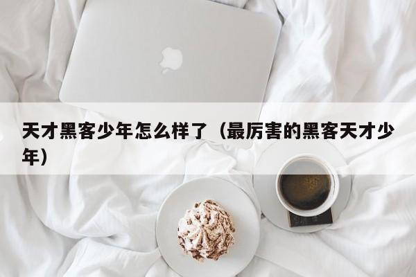 天才黑客少年怎么样了(最厉害的黑客天才少年)