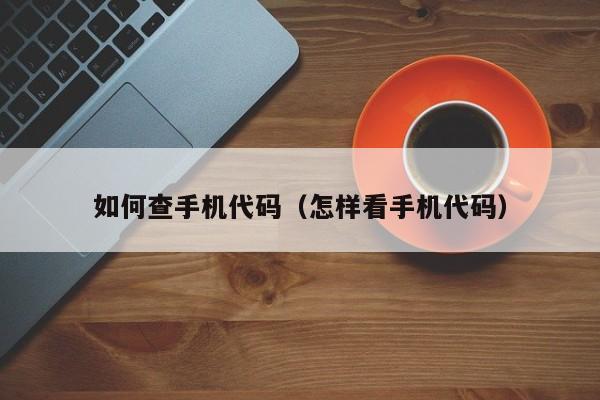 如何查手机代码(怎样看手机代码)