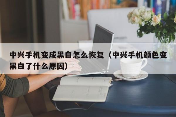 中兴手机变成黑白怎么恢复(中兴手机颜色变黑白了什么原因)