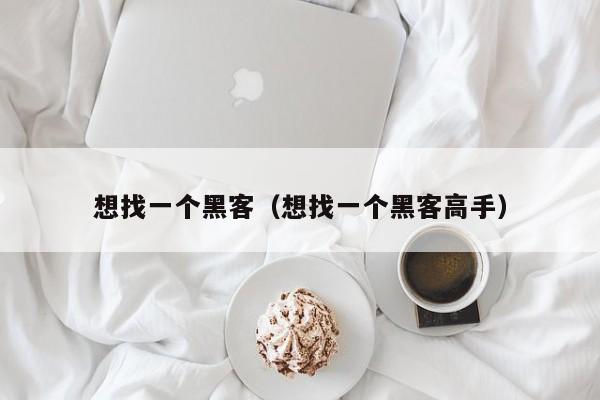 想找一个黑客(想找一个黑客高手)