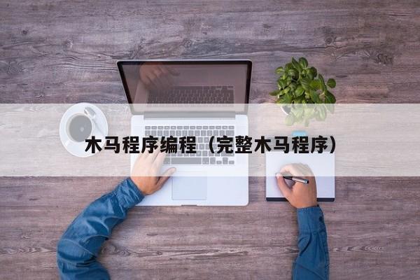 木马程序编程(完整木马程序)