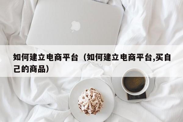 如何建立电商平台(如何建立电商平台,买自己的商品)