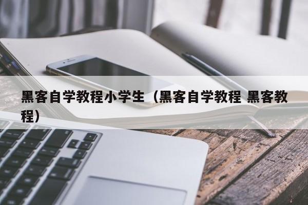 黑客自学教程小学生(黑客自学教程 黑客教程)