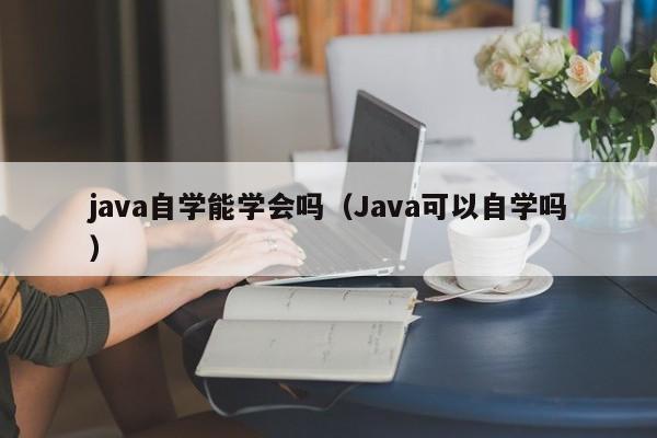 java自学能学会吗(Java可以自学吗)