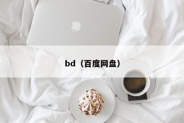 bd(百度网盘)