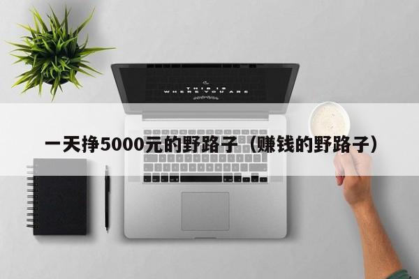 一天挣5000元的野路子(赚钱的野路子)