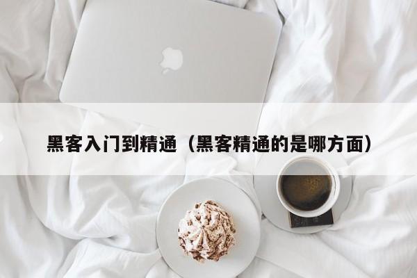 黑客入门到精通(黑客精通的是哪方面)