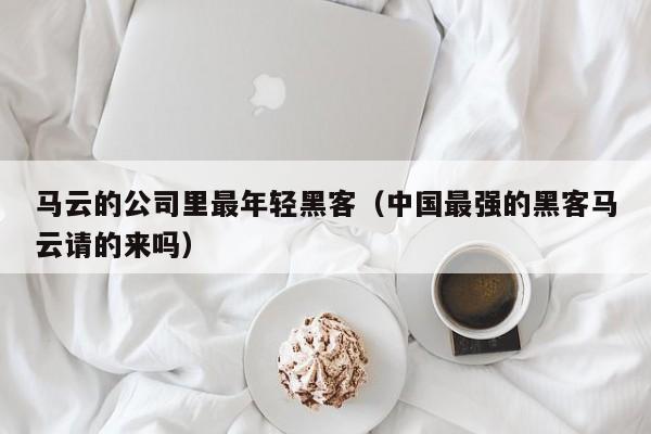 马云的公司里最年轻黑客(中国最强的黑客马云请的来吗)