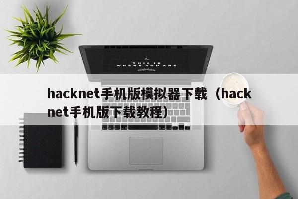 hacknet手机版模拟器下载(hacknet手机版下载教程)