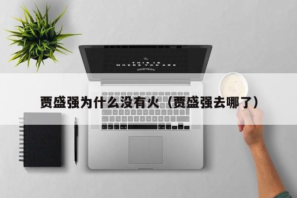 贾盛强为什么没有火(贾盛强去哪了)
