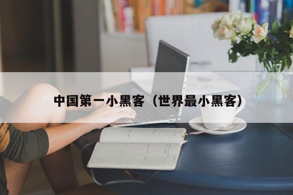 中国第一小黑客(世界最小黑客)