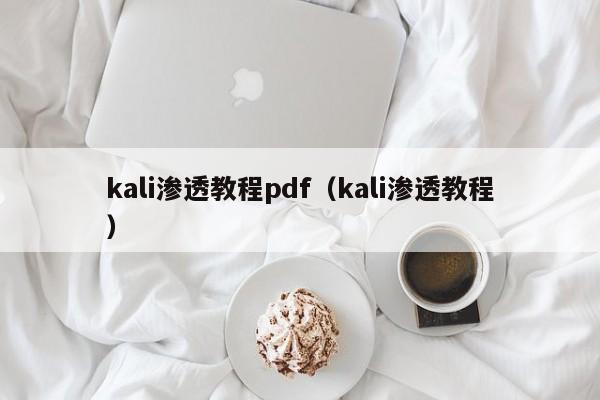 kali渗透教程pdf(kali渗透教程)