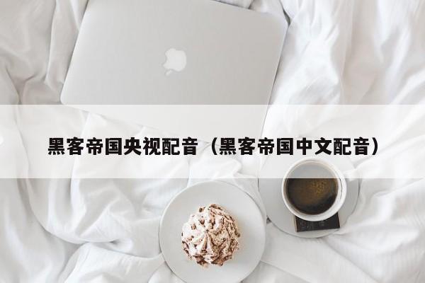 黑客帝国央视配音(黑客帝国中文配音)
