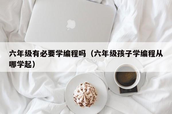 六年级有必要学编程吗(六年级孩子学编程从哪学起)