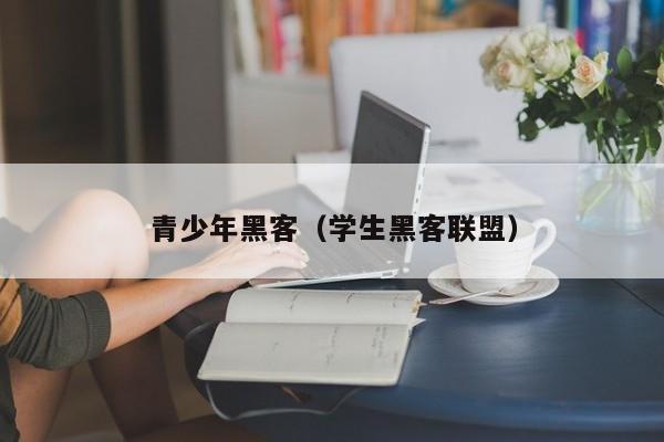 青少年黑客(学生黑客联盟)