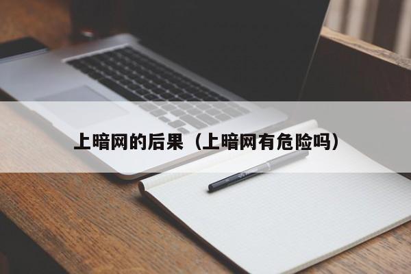 上暗网的后果(上暗网有危险吗)