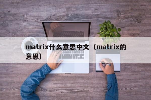 matrix什么意思中文(matrix的意思)