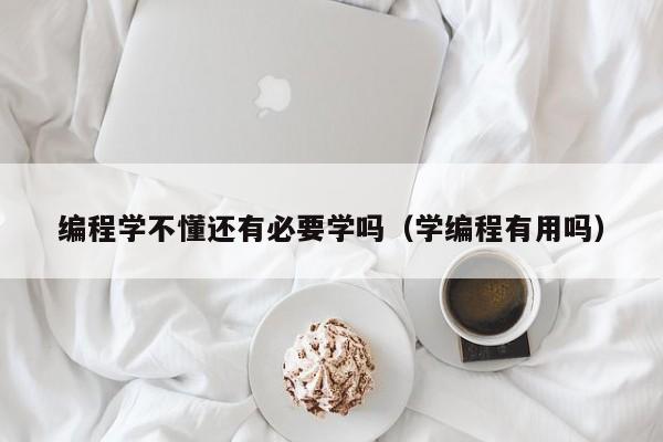 编程学不懂还有必要学吗(学编程有用吗)