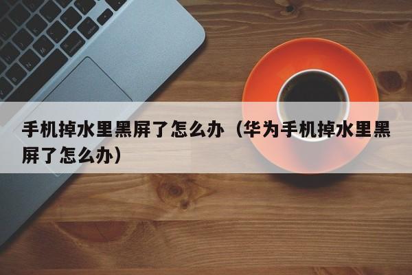 手机掉水里黑屏了怎么办(华为手机掉水里黑屏了怎么办)