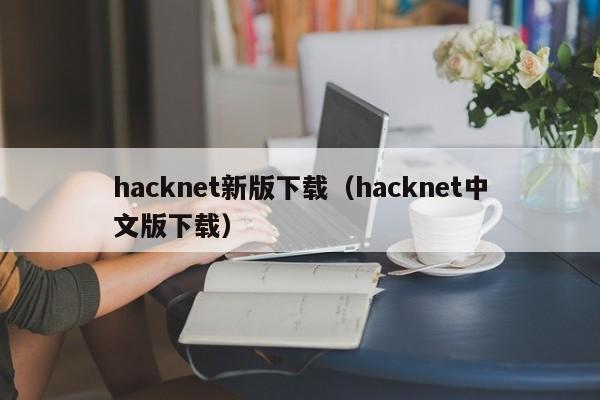 hacknet新版下载(hacknet中文版下载)