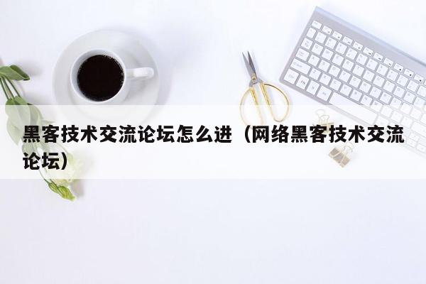 黑客技术交流论坛怎么进(网络黑客技术交流论坛)