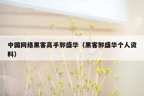 中国网络黑客高手郭盛华(黑客郭盛华个人资料)
