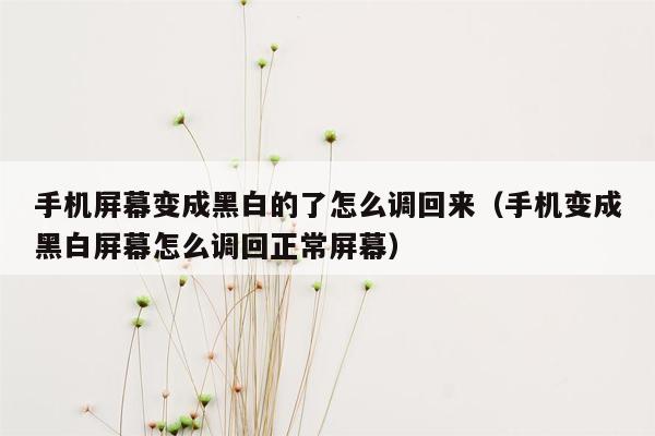 手机屏幕变成黑白的了怎么调回来(手机变成黑白屏幕怎么调回正常屏幕)