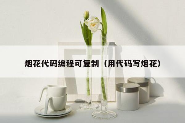 烟花代码编程可复制(用代码写烟花)