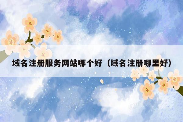 域名注册服务网站哪个好(域名注册哪里好)