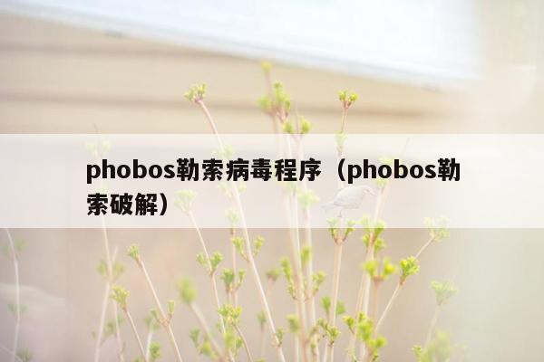 phobos勒索病毒程序(phobos勒索破解)