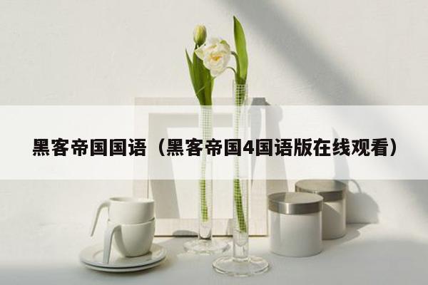 黑客帝国国语(黑客帝国4国语版在线观看)