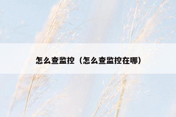 怎么查监控(怎么查监控在哪)