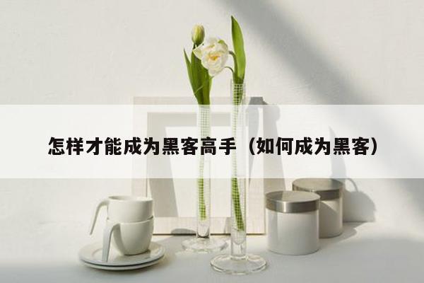 怎样才能成为黑客高手(如何成为黑客)
