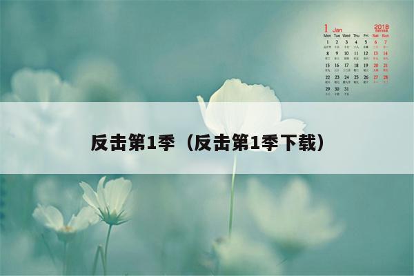 反击第1季(反击第1季下载)