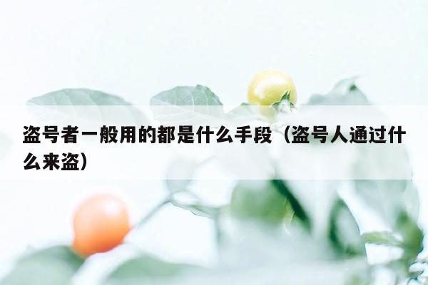 盗号者一般用的都是什么手段(盗号人通过什么来盗)