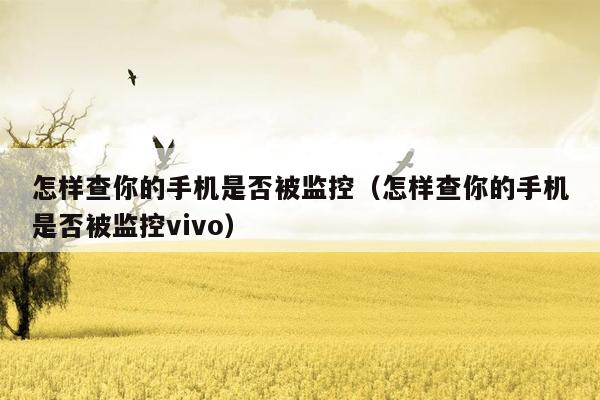 怎样查你的手机是否被监控(怎样查你的手机是否被监控vivo)