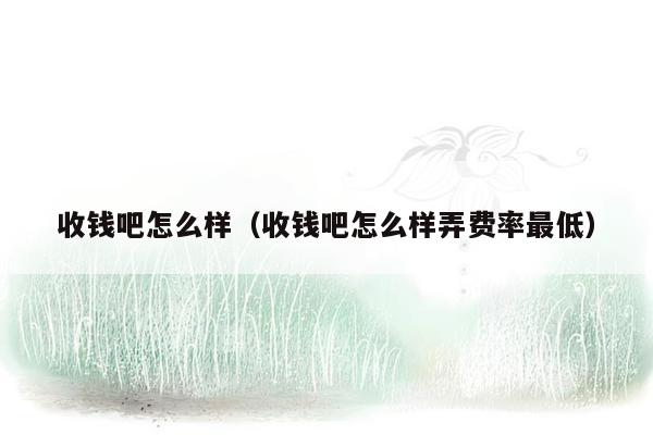收钱吧怎么样(收钱吧怎么样弄费率最低)