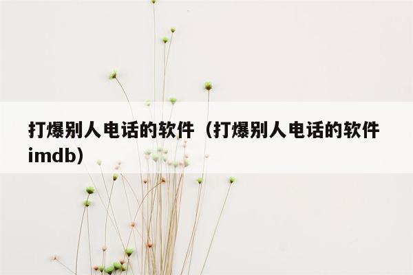 打爆别人电话的软件(打爆别人电话的软件 imdb)