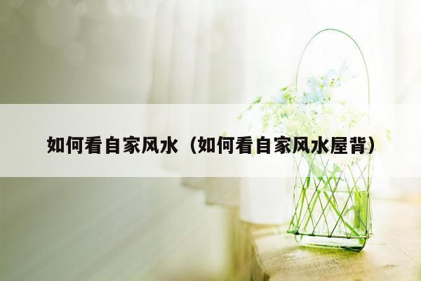 如何看自家风水(如何看自家风水屋背)