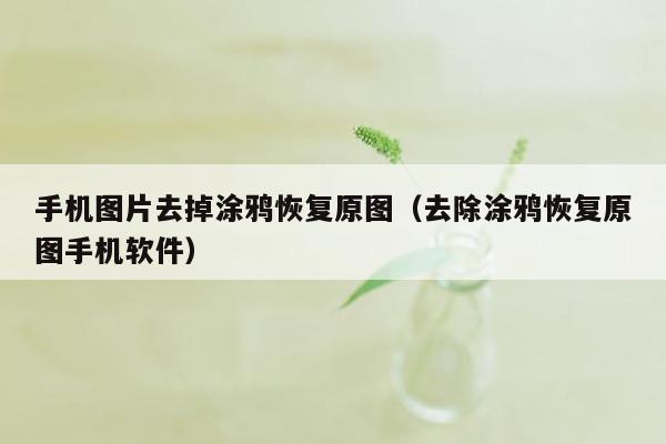 手机图片去掉涂鸦恢复原图(去除涂鸦恢复原图手机软件)