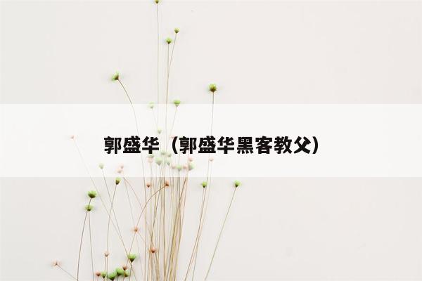 郭盛华(郭盛华黑客教父)